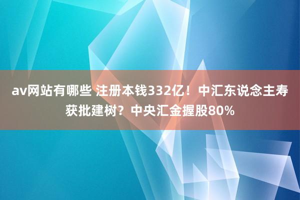 av网站有哪些 注册本钱332亿！中汇东说念主寿获批建树？中央汇金握股80%