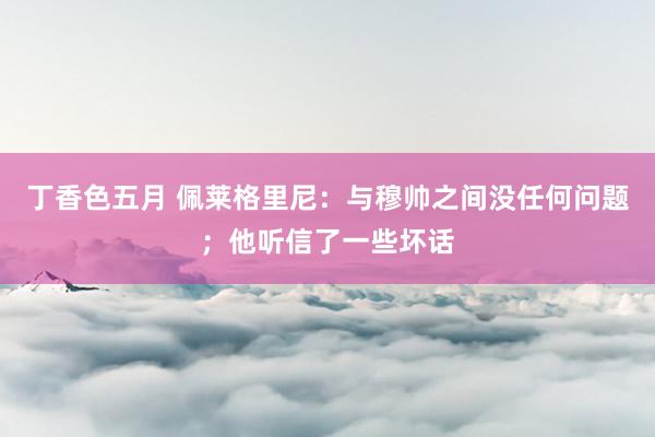 丁香色五月 佩莱格里尼：与穆帅之间没任何问题；他听信了一些坏话