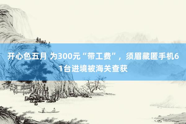 开心色五月 为300元“带工费”，须眉藏匿手机61台进境被海关查获