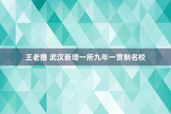 王老撸 武汉新增一所九年一贯制名校