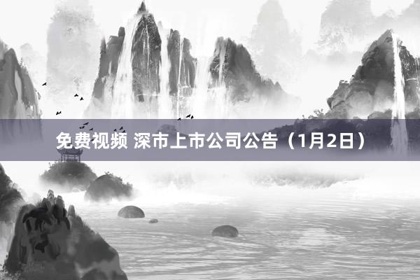 免费视频 深市上市公司公告（1月2日）