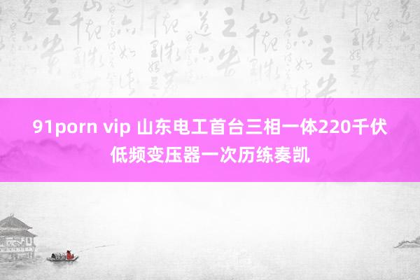 91porn vip 山东电工首台三相一体220千伏低频变压器一次历练奏凯