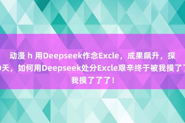 动漫 h 用Deepseek作念Excle，成果飙升，探索10天，如何用Deepseek处分Excle艰辛终于被我摸了了了！