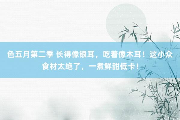 色五月第二季 长得像银耳，吃着像木耳！这小众食材太绝了，一煮鲜甜低卡！